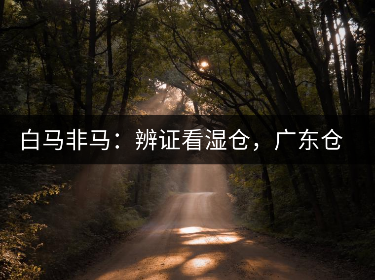 白馬非馬：辨證看濕倉(cāng)，廣東倉(cāng)、香港倉(cāng)不能簡(jiǎn)單等同濕倉(cāng)