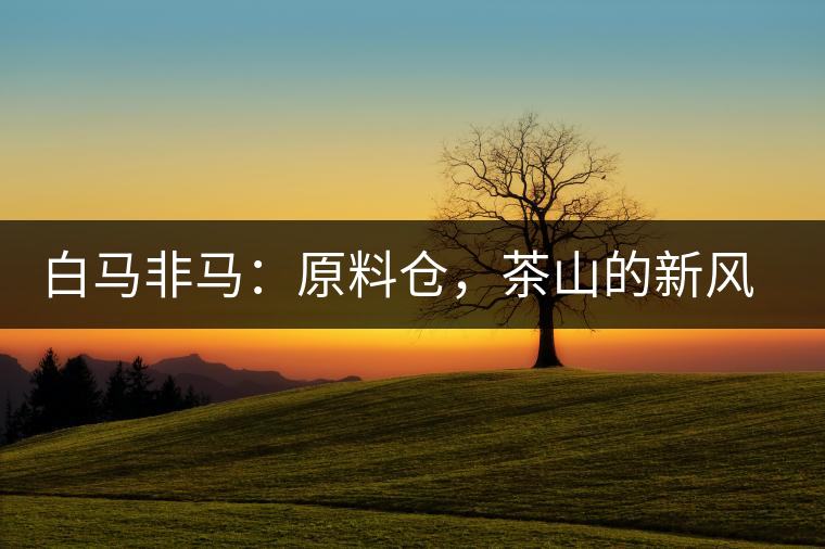 白馬非馬：原料倉，茶山的新風(fēng)景
