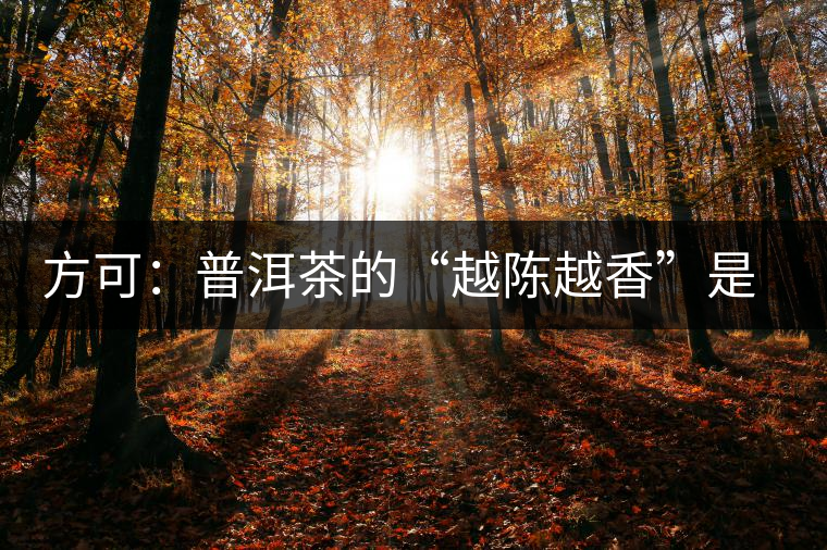 方可：普洱茶的“越陳越香”是有條件、有技術(shù)的