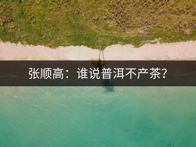 張順高：誰說普洱不產(chǎn)茶？