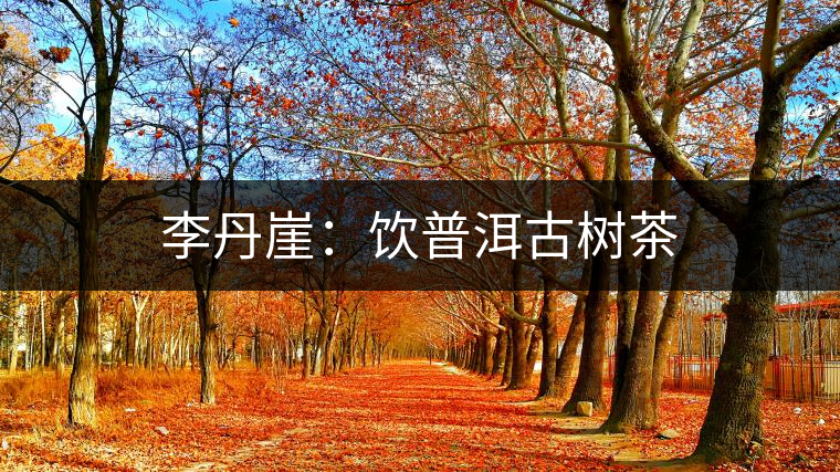 李丹崖:飲普洱古樹(shù)茶 李丹崖:飲普洱古樹(shù)茶