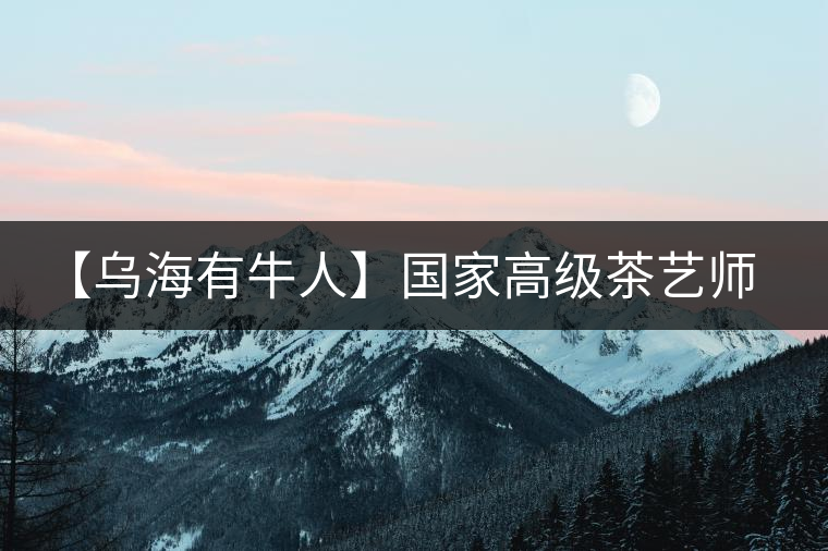 【烏海有牛人】國家高級(jí)茶藝師談古樹普洱茶