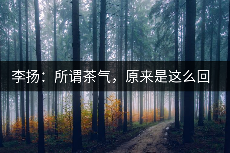 李揚(yáng)：所謂茶氣，原來是這么回事