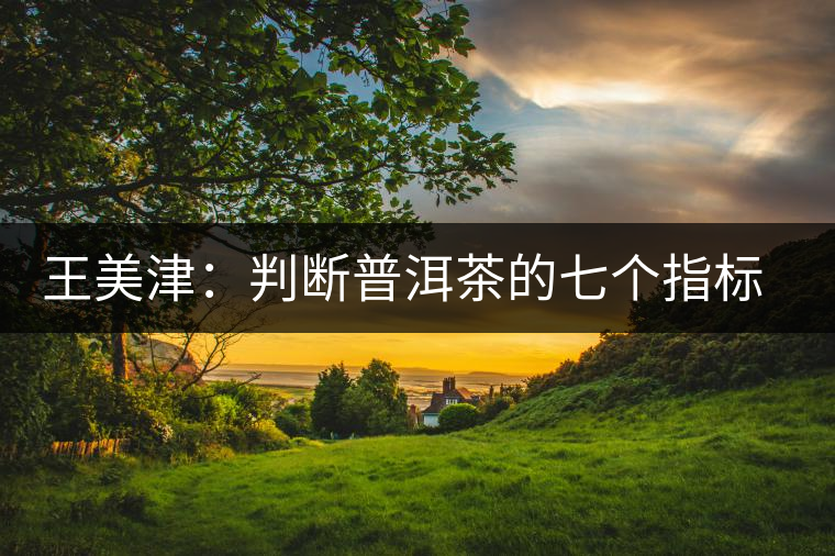 王美津：判斷普洱茶的七個(gè)指標(biāo) 之色、香、味