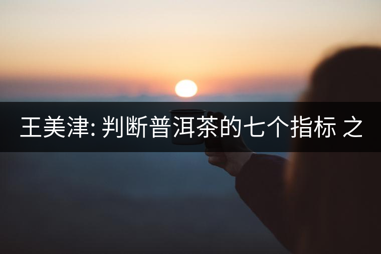 王美津: 判斷普洱茶的七個指標(biāo) 之七: 韻