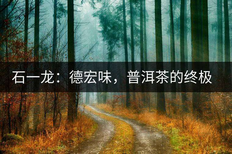石一龍：德宏味，普洱茶的終極意境