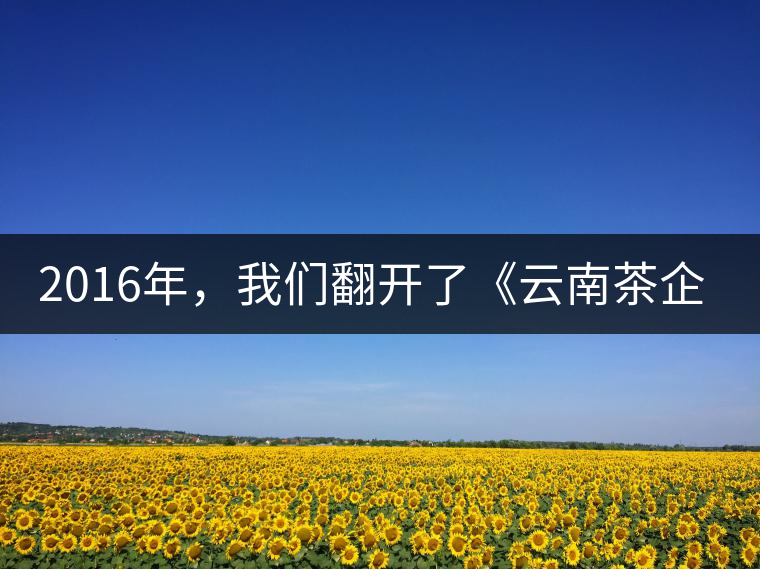2016年，我們翻開了《云南茶企發(fā)展白皮書》