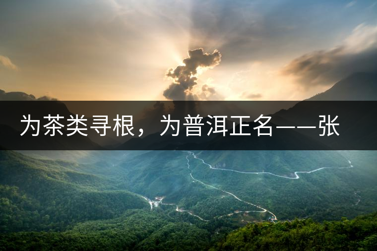 為茶類(lèi)尋根，為普洱正名——張宏達(dá)的普洱茶研究