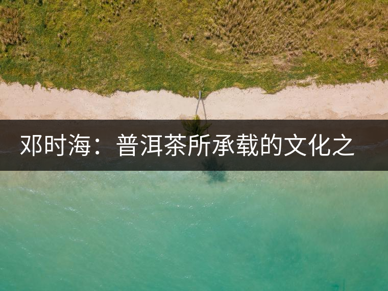 鄧時(shí)海：普洱茶所承載的文化之美（”普洱茶第一人“視頻訪談錄）
