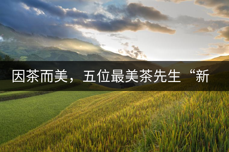 因茶而美，五位最美茶先生“新鮮出爐”啦