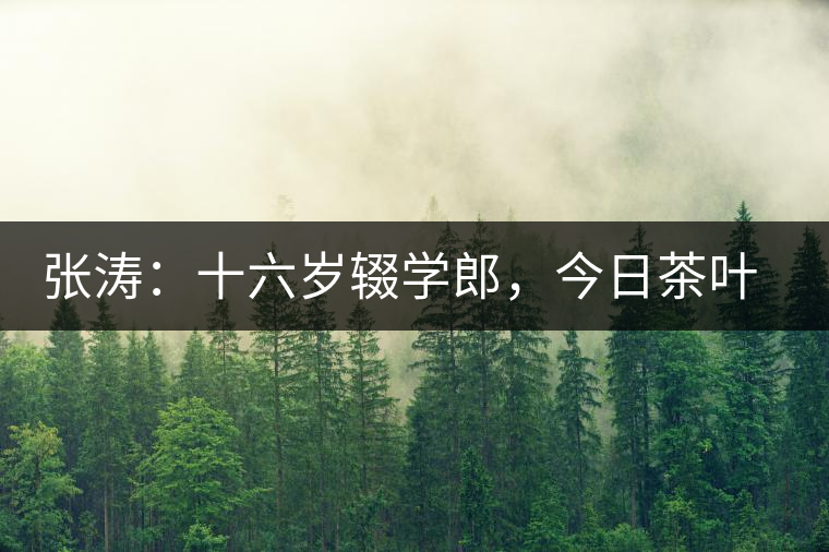 張濤：十六歲輟學郎，今日茶葉中堅