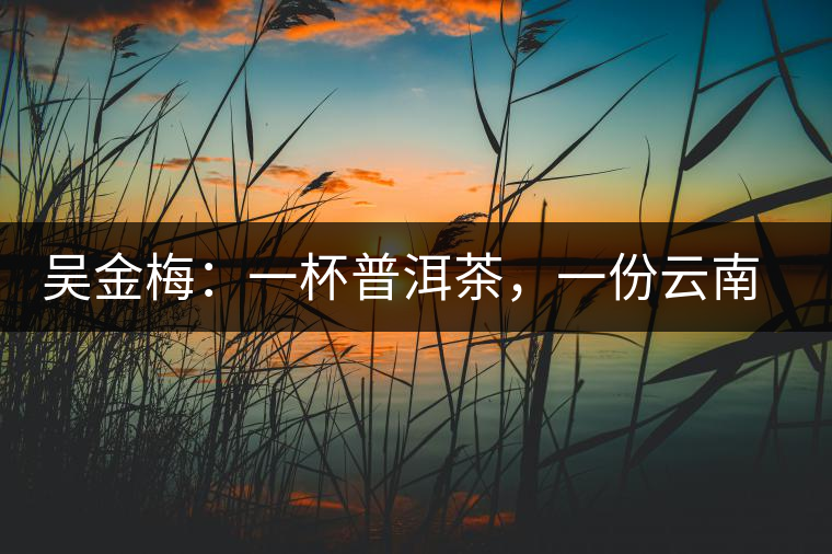 吳金梅：一杯普洱茶，一份云南情