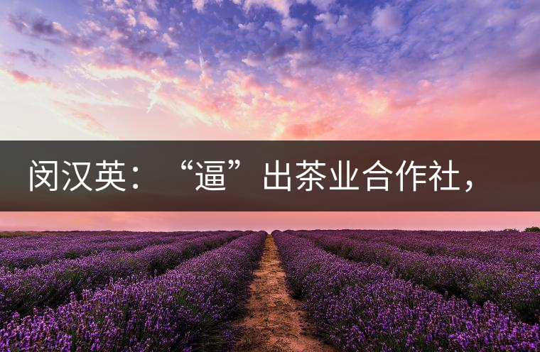 閔漢英：“逼”出茶業(yè)合作社，帶領(lǐng)村民走上致富路