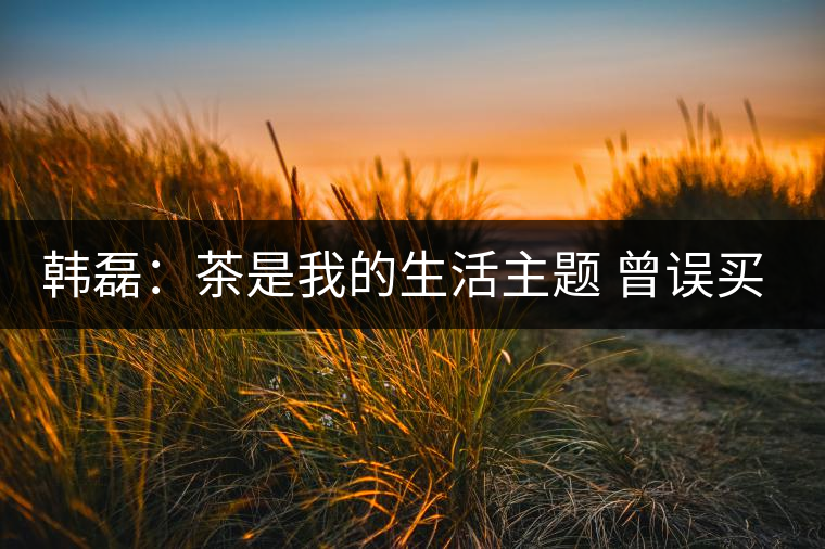 韓磊:茶是我的生活主題 曾誤買假紫砂 韓磊:茶是我的生活主題 曾誤買假紫砂
