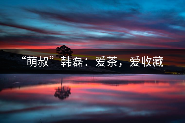 “萌叔”韓磊：愛茶，愛收藏