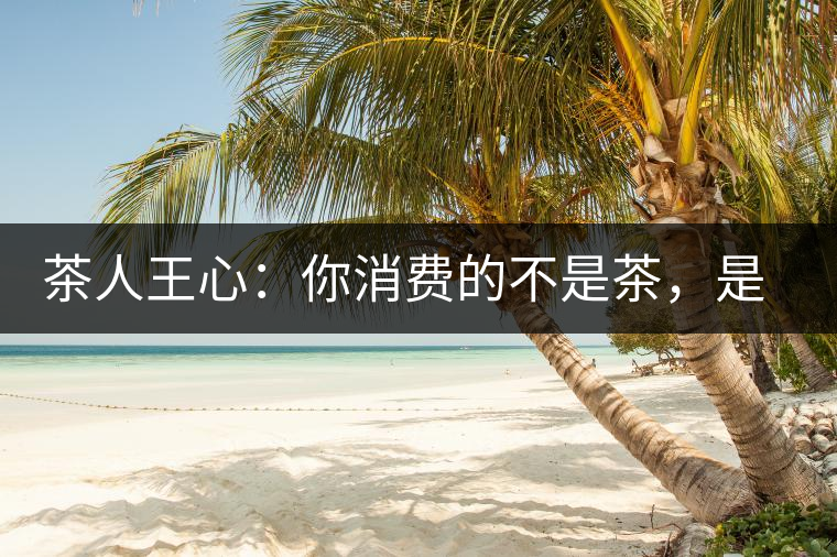 茶人王心：你消費(fèi)的不是茶，是我