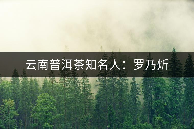 云南普洱茶知名人：羅乃炘