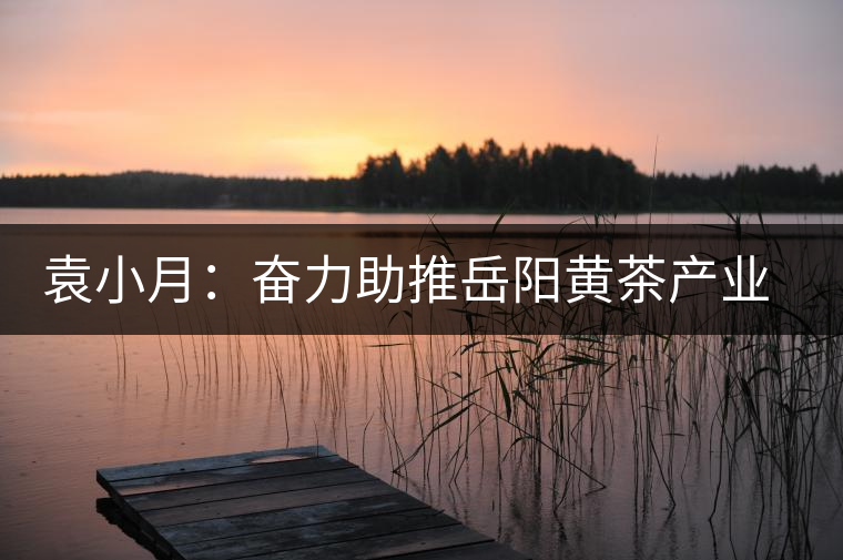 袁小月:奮力助推岳陽黃茶產(chǎn)業(yè)發(fā)展 袁小月:奮力助推岳陽黃茶產(chǎn)業(yè)發(fā)展