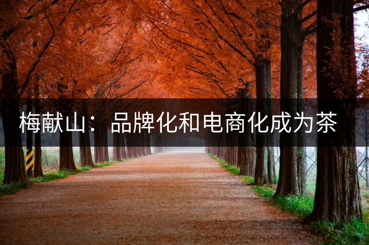 梅獻(xiàn)山：品牌化和電商化成為茶產(chǎn)業(yè)的第三個(gè)轉(zhuǎn)機(jī)