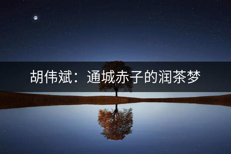 胡偉斌：通城赤子的潤茶夢(mèng)