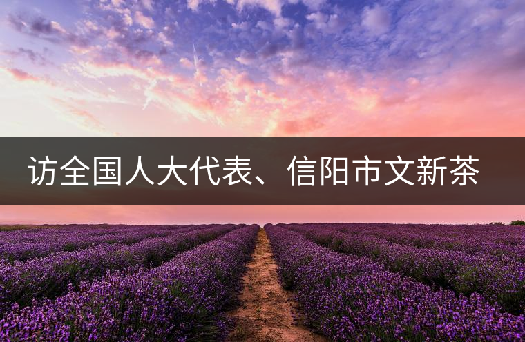 訪全國人大代表、信陽市文新茶葉有限責(zé)任公司董事長劉文新
