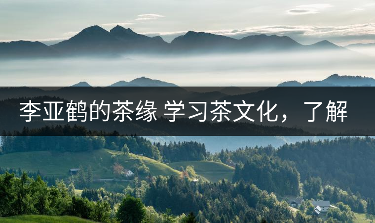 李亞鶴的茶緣 學(xué)習(xí)茶文化，了解茶文化，品味茶文化