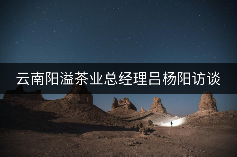 云南陽(yáng)溢茶業(yè)總經(jīng)理呂楊陽(yáng)訪談