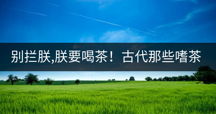 別攔朕,朕要喝茶！古代那些嗜茶如命的皇帝
