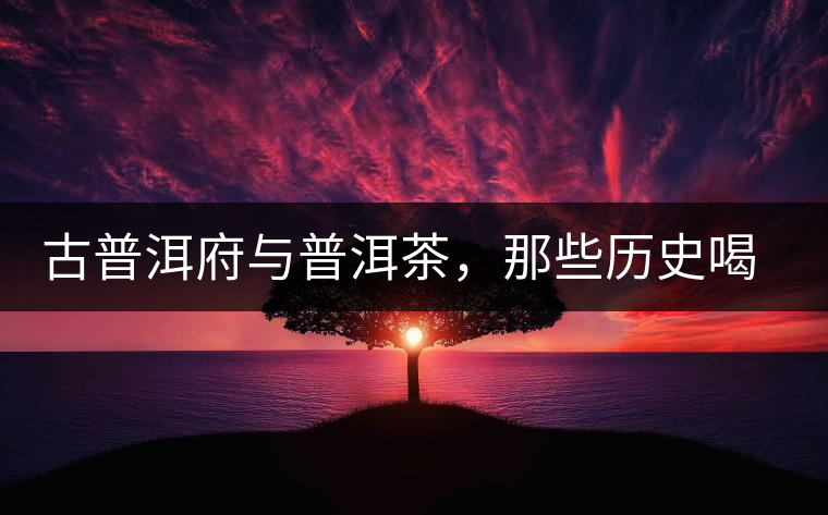古普洱府與普洱茶，那些歷史喝茶的你應(yīng)該知道