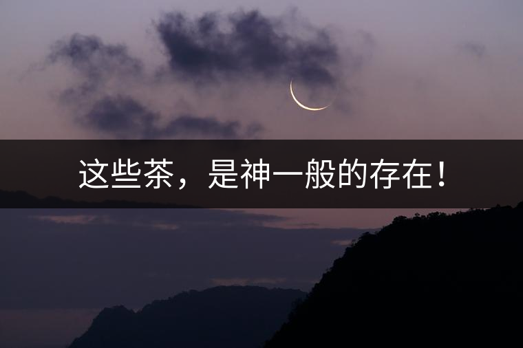 這些茶，是神一般的存在！