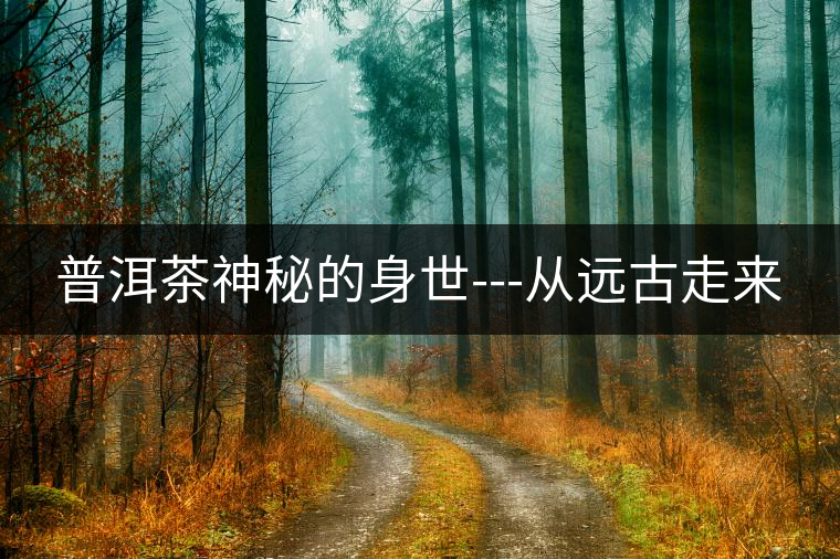 普洱茶神秘的身世---從遠(yuǎn)古走來 普洱茶神秘的身世---從遠(yuǎn)古走來