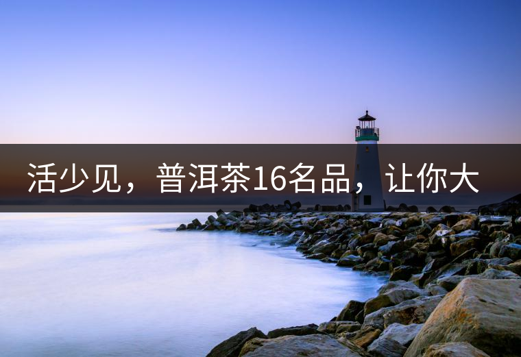 活少見，普洱茶16名品，讓你大開眼界