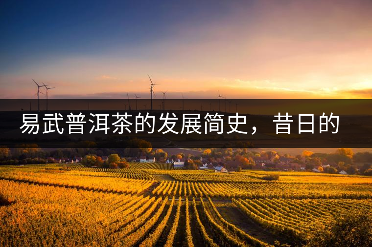 易武普洱茶的發(fā)展簡史，昔日的貢茶如今依然輝煌