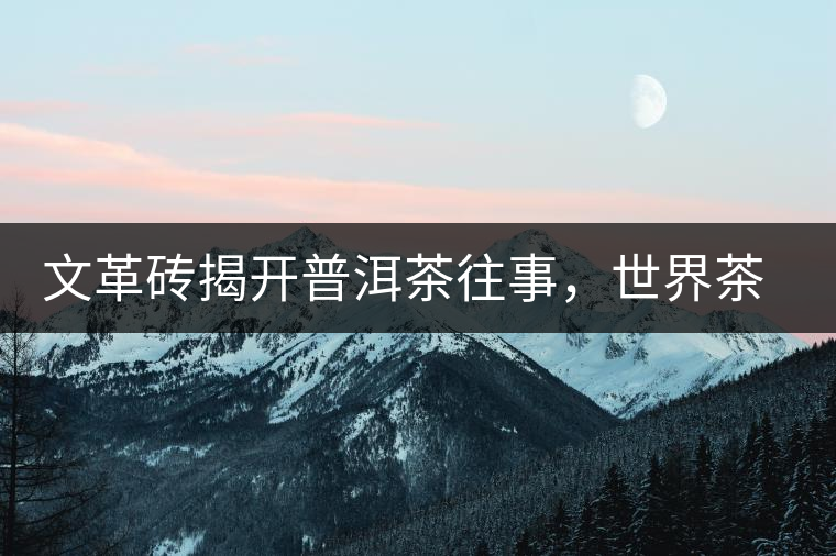 文革磚揭開普洱茶往事，世界茶文化交流協(xié)會(huì)成員共品經(jīng)典文革磚！