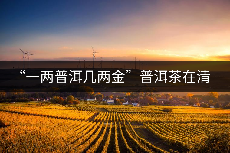 “一兩普洱幾兩金”普洱茶在清代為啥這么火？！