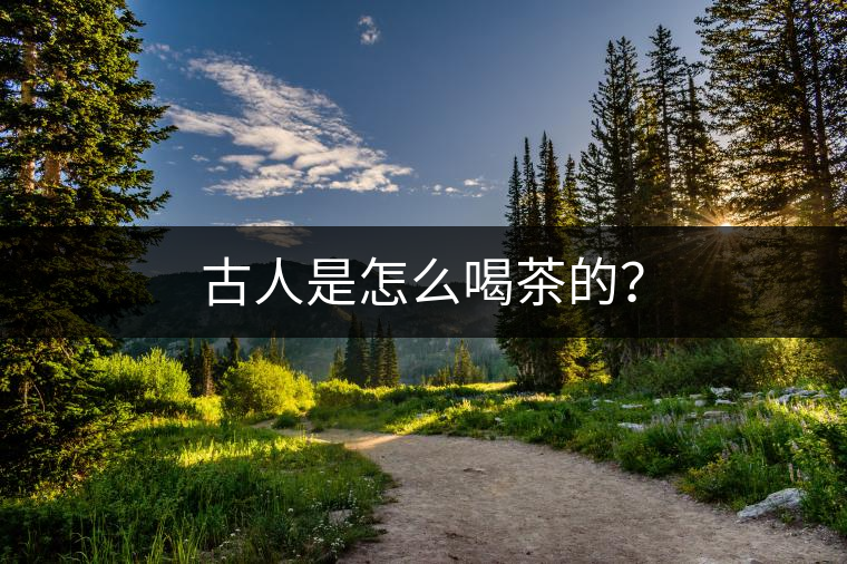 古人是怎么喝茶的？