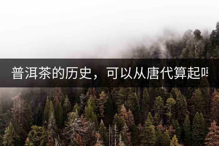 普洱茶的歷史，可以從唐代算起嗎？