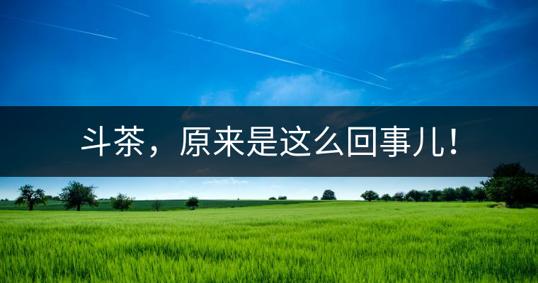 斗茶，原來(lái)是這么回事兒！