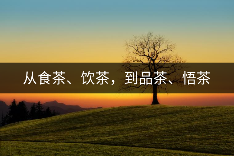 從食茶、飲茶，到品茶、悟茶