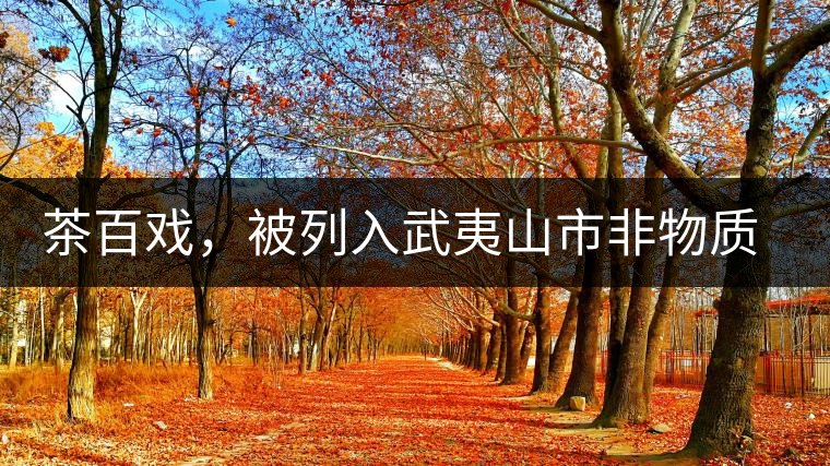 茶百戲，被列入武夷山市非物質(zhì)文化遺產(chǎn)的茶湯