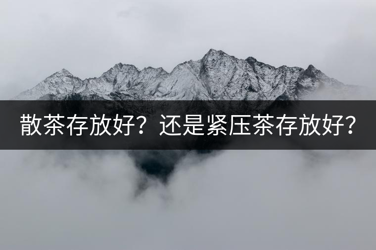 散茶存放好？還是緊壓茶存放好？