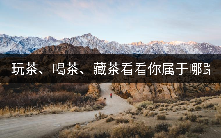 玩茶、喝茶、藏茶看看你屬于哪路茶神！