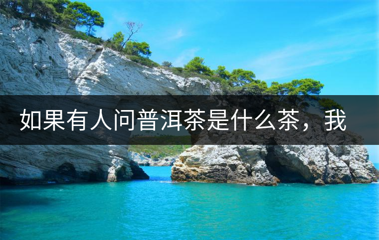 如果有人問普洱茶是什么茶，我就請他看這個段子