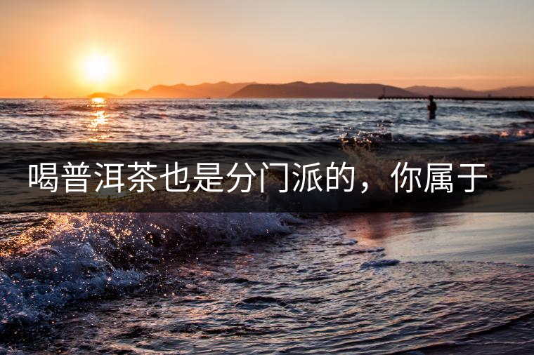 喝普洱茶也是分門派的，你屬于哪派呢？