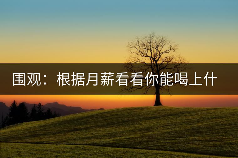 圍觀：根據(jù)月薪看看你能喝上什么茶？