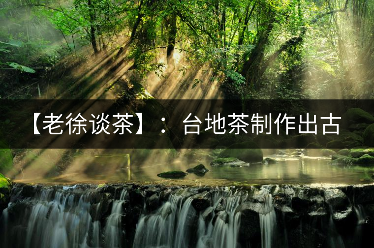 【老徐談茶】：臺(tái)地茶制作出古樹(shù)茶口感？只需一招，輕松騙過(guò)你 ?