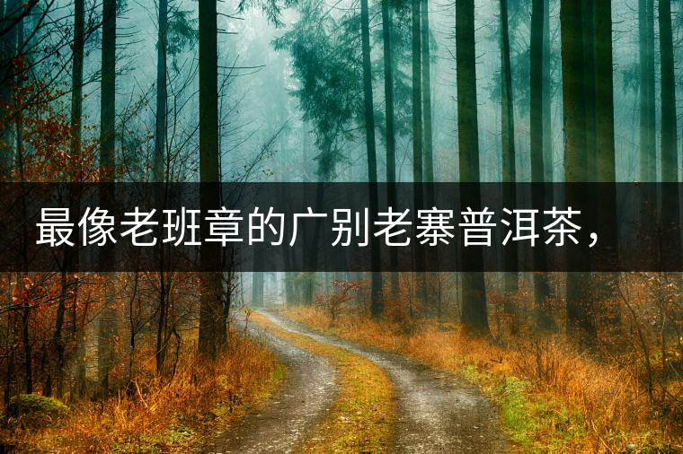 最像老班章的廣別老寨普洱茶，卻是冰島派來的臥底