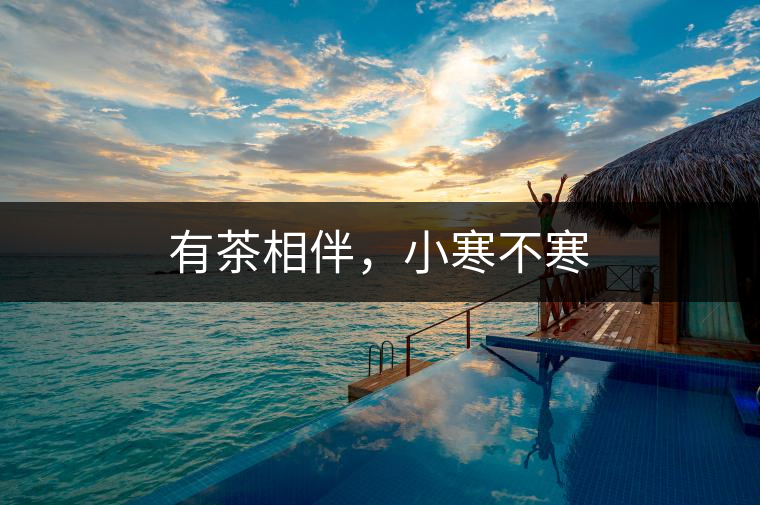 有茶相伴，小寒不寒