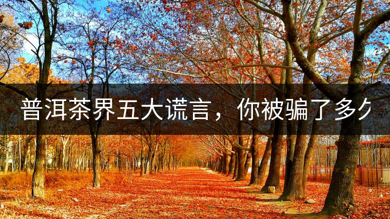 普洱茶界五大謊言，你被騙了多久？