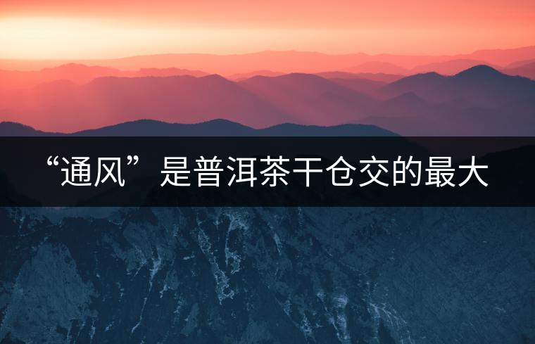 “通風(fēng)”是普洱茶干倉交的最大學(xué)費(fèi)